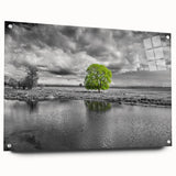 Colorful acrylic glass wall art showcasing a serene marsh landscape with vibrant greens and blues, mounted on a side view with decorative pins for display. Ideal for nature-themed home decor.