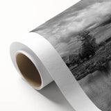 Rolled canvas artwork showcasing a serene marsh landscape with vibrant greens and blues, ideal for nature lovers seeking tranquil home decor accents.