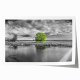 Vibrant landscape wall art showcasing a serene marsh scene with lush greenery and reflective water, perfect for enhancing home decor. Ideal for nature enthusiasts.