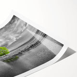 Vibrant marsh landscape wall art print showcasing lush green foliage and tranquil water reflections, rolled for easy display in any home or office decor.