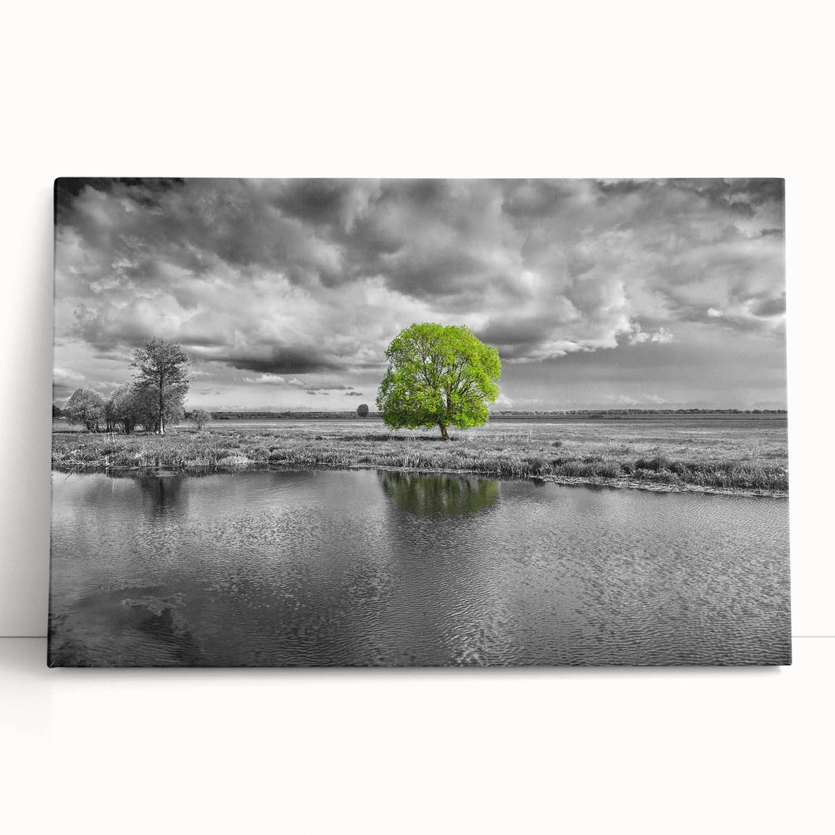 Stretched canvas wall art depicting a serene marsh landscape with lush greenery and calm water, ideal for nature-themed decor in homes or offices.