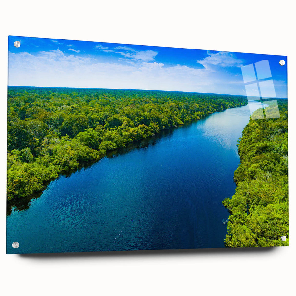 Acrylic glass wall art display showcasing a vibrant swamp landscape design with marsh colors and intricate details, elegantly mounted with pins for modern decor.