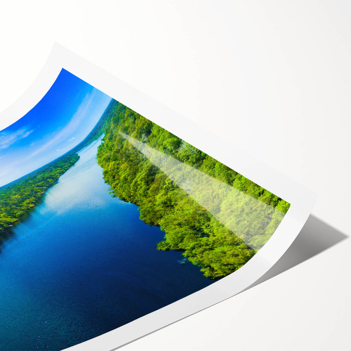Lush marsh landscape wall art print showcasing vibrant greens and earthy tones, perfect for nature lovers and home decor enthusiasts. Rolled and ready for framing.