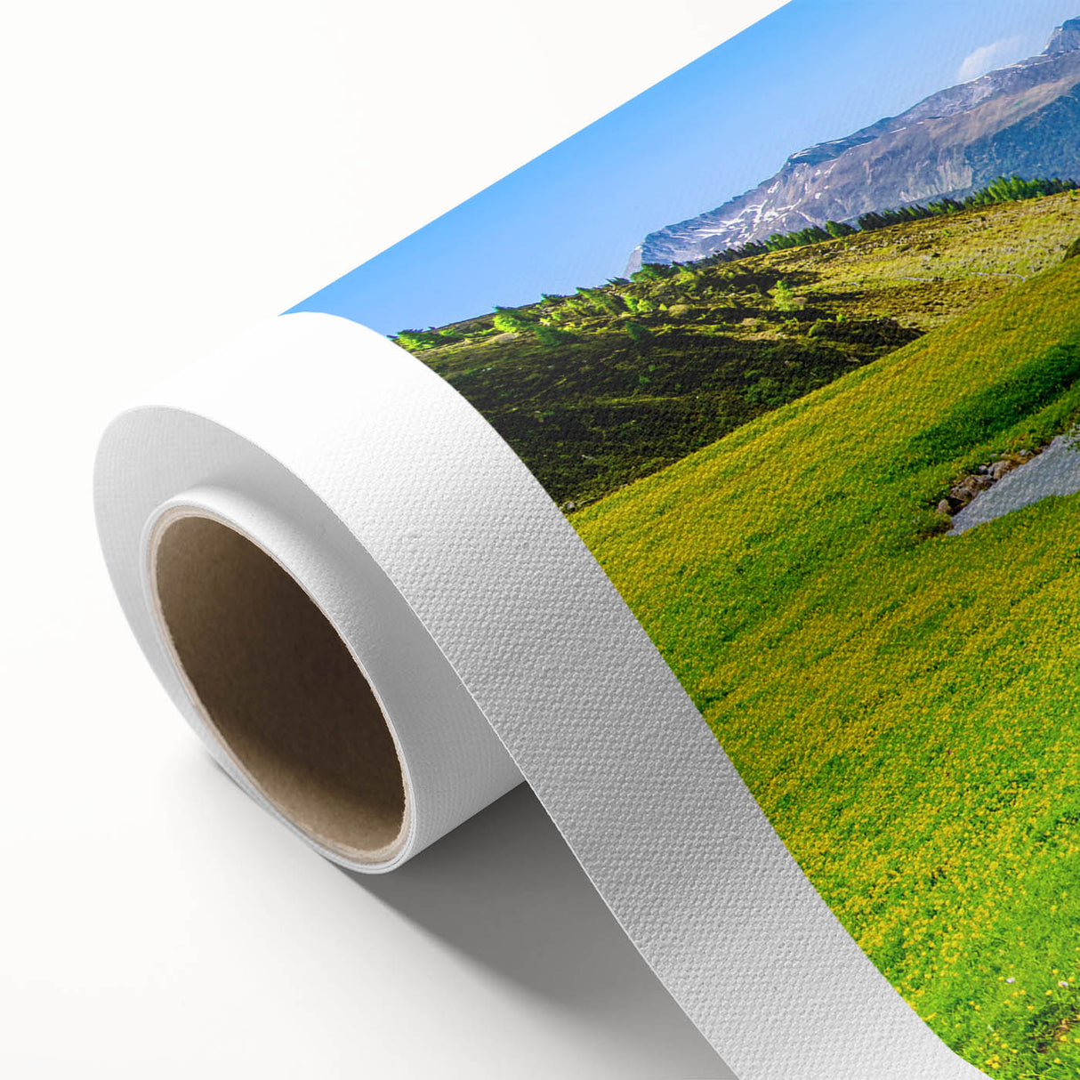 Vibrant rolled canvas featuring a serene marsh landscape with lush greenery and calm waters, ideal for nature-themed decor, elegantly packaged for easy display.