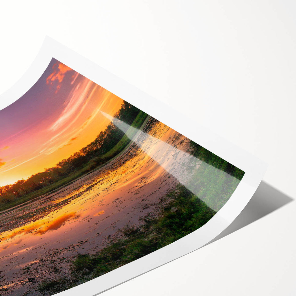 Lush green marsh landscape wall art print showcasing vibrant flora and serene water reflections, ideal for nature-themed home decor, rolled for easy framing.