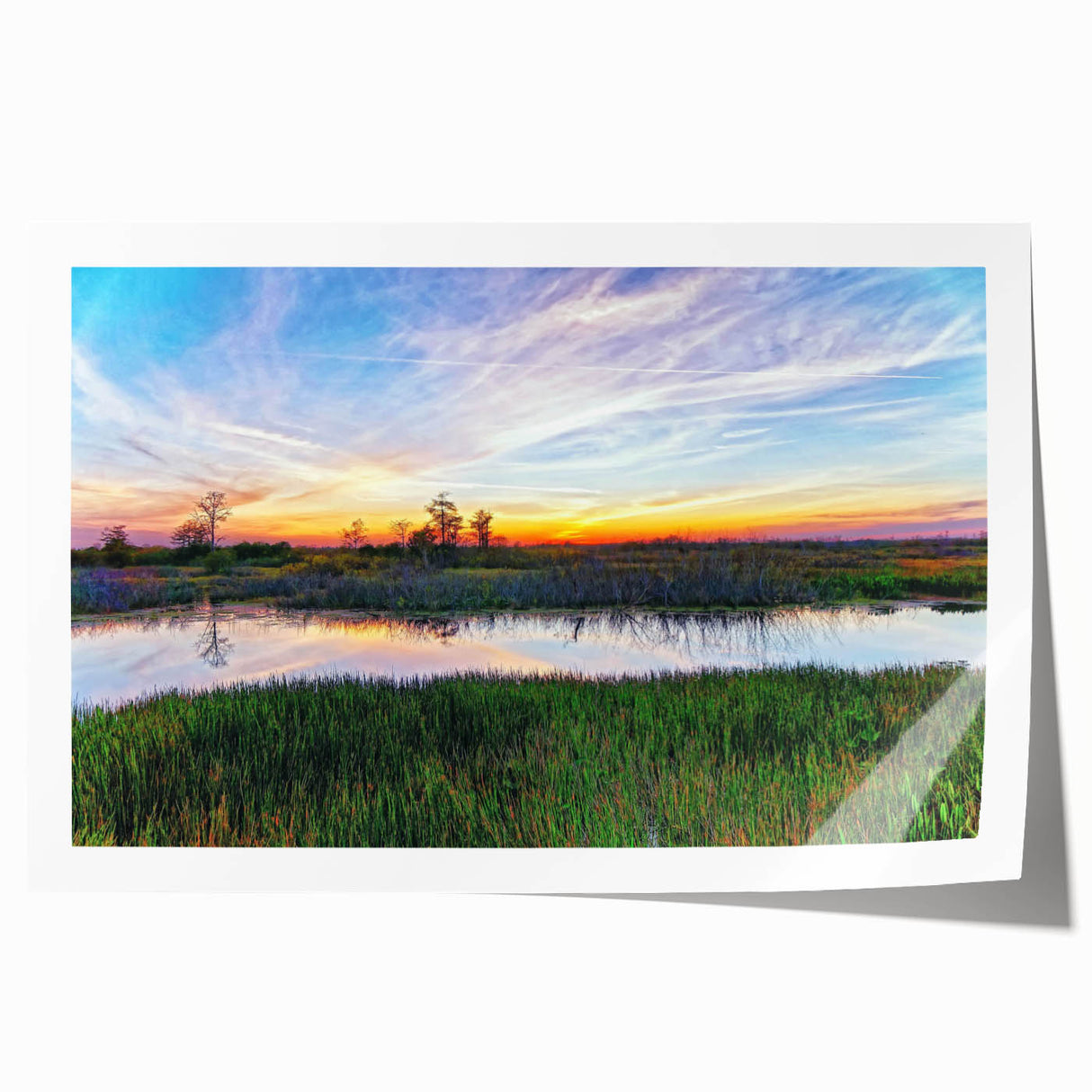 Lush marsh landscape wall art print showcasing vibrant greens and blues, featuring serene water reflections and detailed flora, ideal for nature-themed decor.