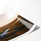 Vibrant rolled print showcasing a tranquil marsh landscape with lush greenery and reflective waters, perfect for nature-inspired decor or wall art collection.