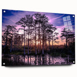 Side view of a marsh and swamp-themed wall art collection, showcasing vibrant acrylic glass design with decorative pins, ideal for nature-inspired decor.