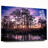 Vibrant wall art collection depicting a serene marsh landscape in an acrylic glass frame, showcasing rich greens and blues, ideal for nature lovers' decor.