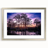 Framed wall art featuring a serene marsh and swamp landscape design, presented in a silver frame with matting, perfect for enhancing home decor.