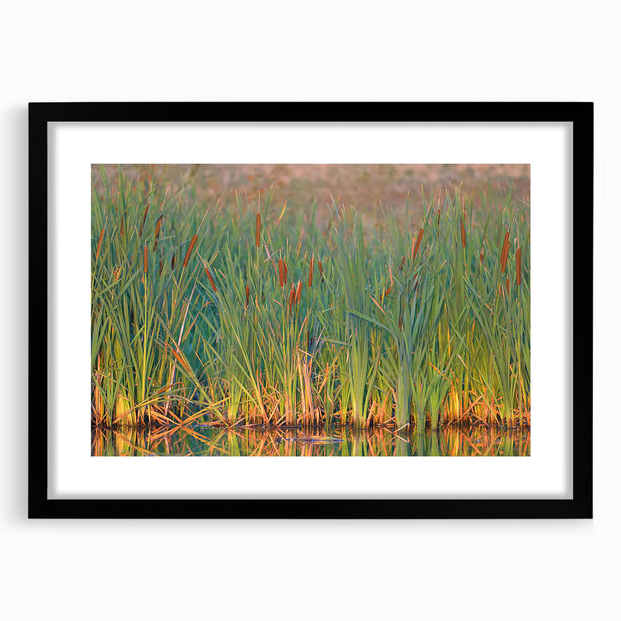 Black-framed wall art collection showcasing serene marsh and swamp landscapes, featuring vibrant colors and intricate details, ideal for home decor.