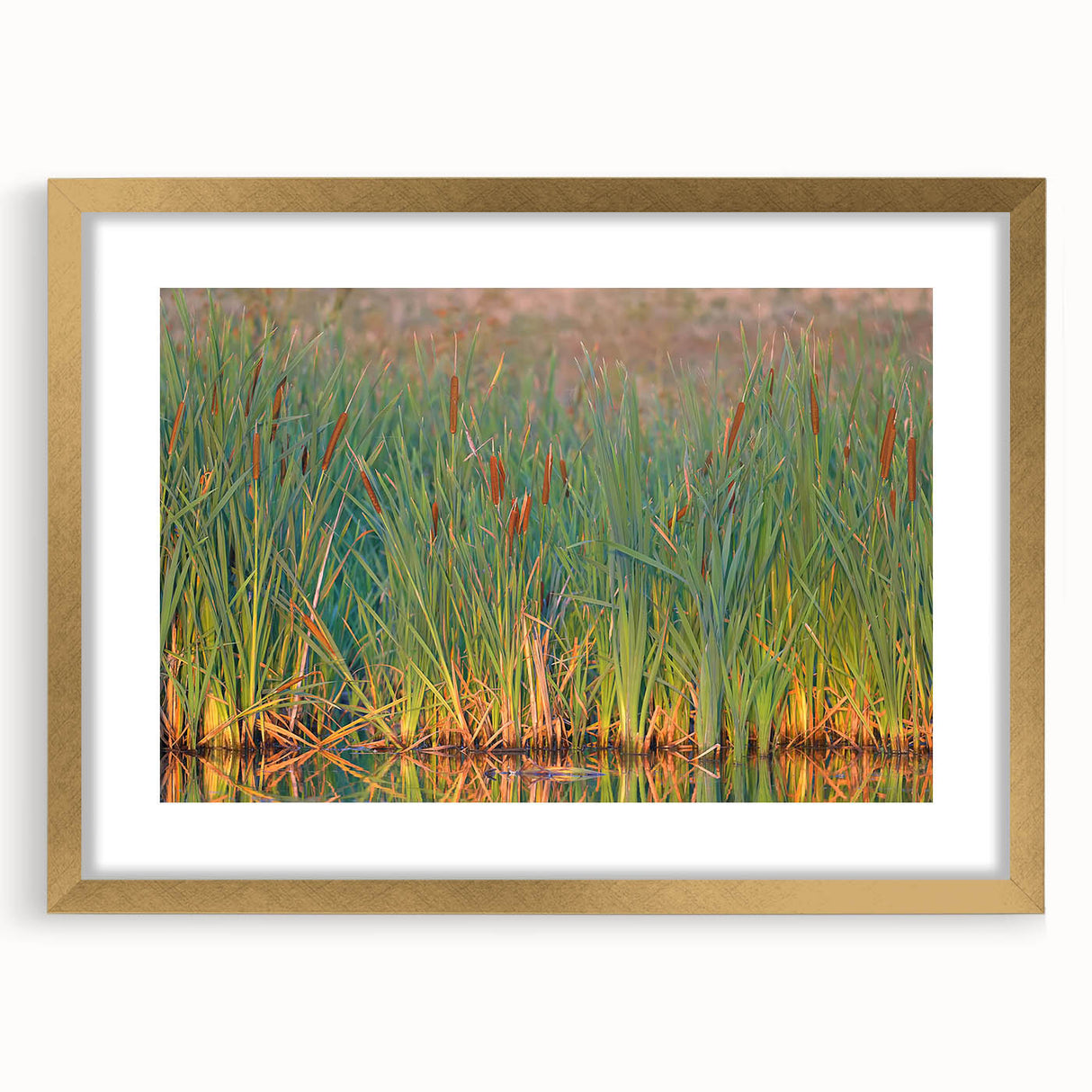 Elegant wall art collection featuring a marsh and swamp landscape design in a gold frame with a mat, ideal for enhancing home decor. The artwork showcases vibrant colors and intricate details, making it a perfect addition to any nature-themed interior space.