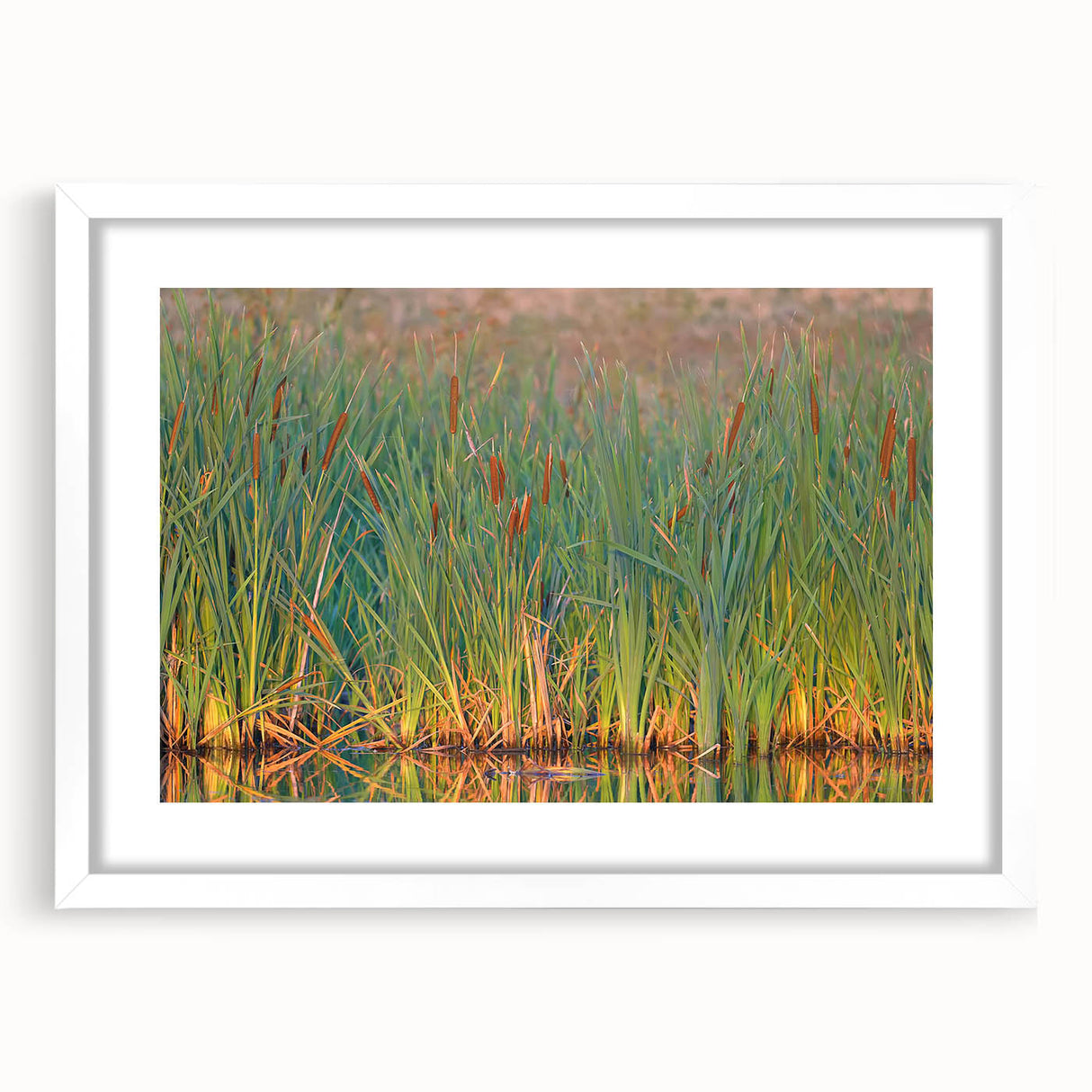 Framed wall art collection featuring a serene marsh landscape with lush greenery and reflective water, presented in a sleek white mat and frame, ideal for home decor.