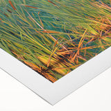 Vibrant rolled canvas depicting a serene marsh landscape with lush greenery and tranquil water, perfect for nature-themed decor and art enthusiasts.