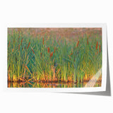 Lush swamp landscape wall art print showcasing vibrant greens and earthy tones, rolled for easy display in home decor. Perfect for nature enthusiasts.