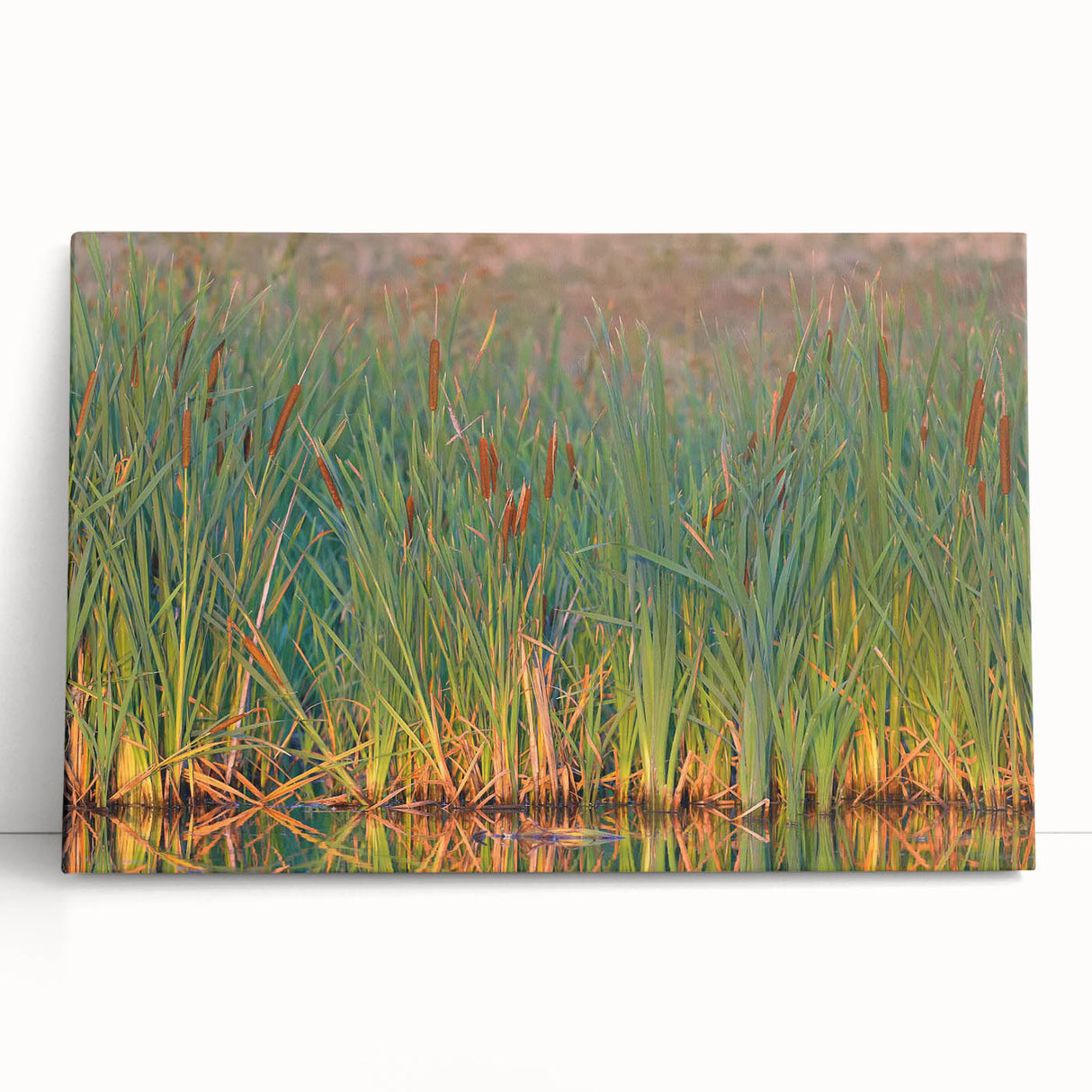Vibrant stretched canvas artwork depicting a serene marsh landscape with lush greenery and reflective water, perfect for enhancing any nature-themed decor.