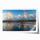 Vibrant rolled print of a serene marsh landscape featuring lush greenery and tranquil waters, ideal for nature lovers seeking wall art decor. Perfect for enhancing home aesthetics.