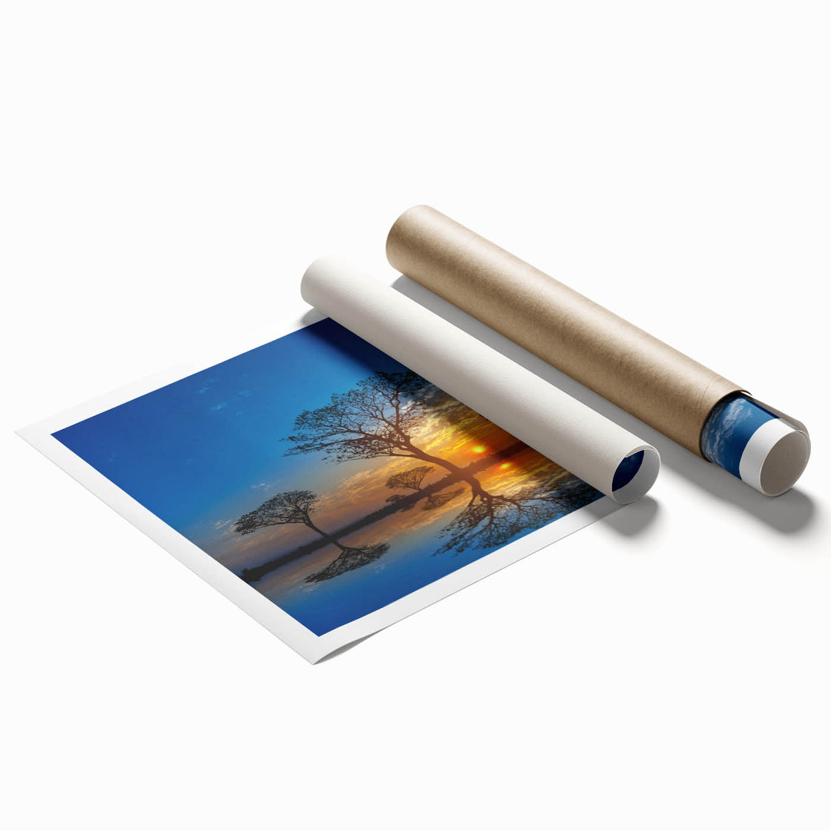 Vibrant wall art print showcasing a stunning swamp landscape design with lush greenery and reflections in water, rolled for easy display and shipping.