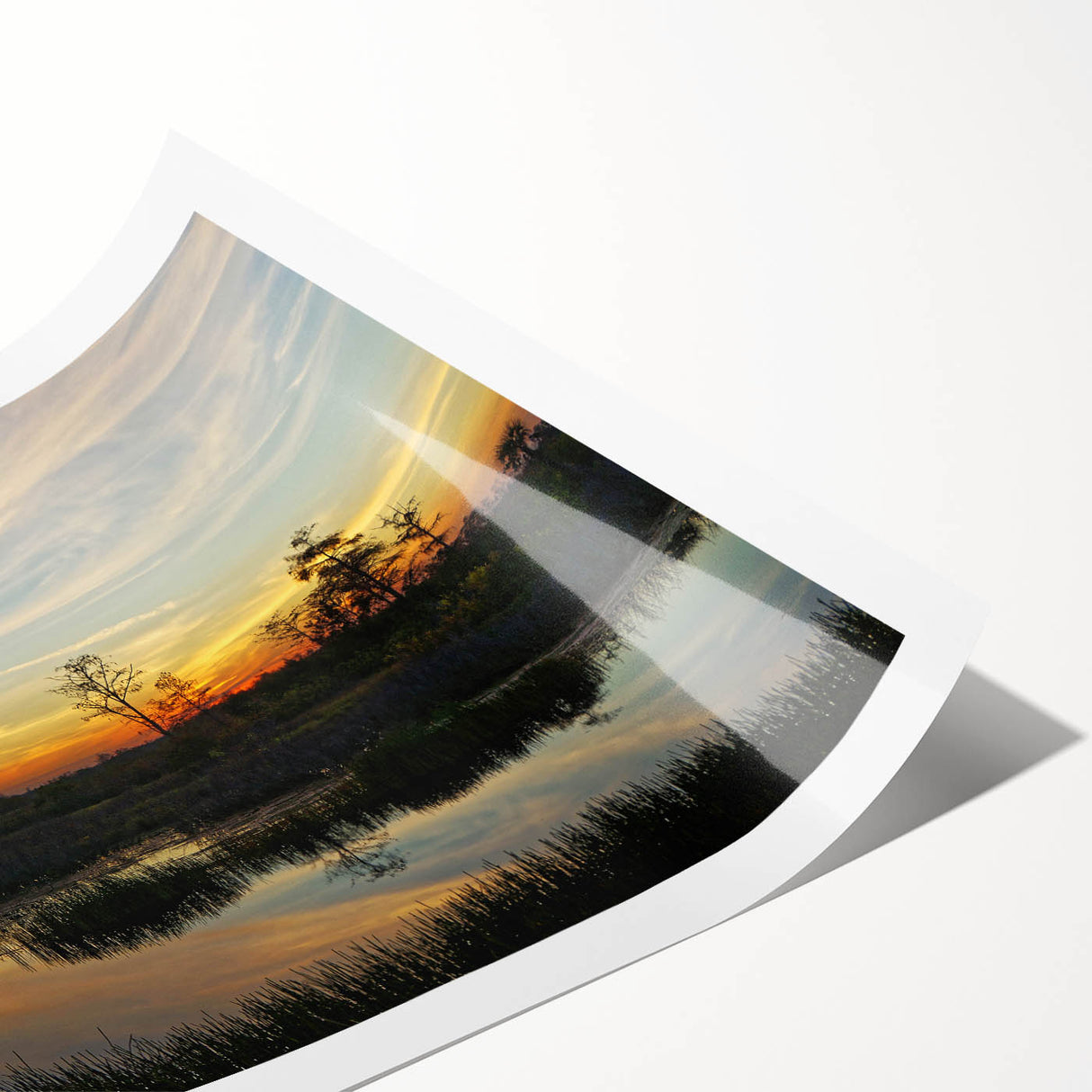 Swamp landscape wall art print showcasing vibrant greens and earthy browns, perfect for nature-themed decor. Ideal for adding a serene touch to living spaces.