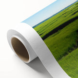 Rolled canvas artwork showcasing a serene marsh landscape with vibrant greenery and reflective water, ideal for nature-inspired home decor. Perfect for creating a calming atmosphere.