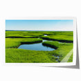 Vibrant marsh landscape wall art featuring a serene swamp scene with lush greenery and reflective water, ideal for enhancing home decor and nature-inspired interiors.