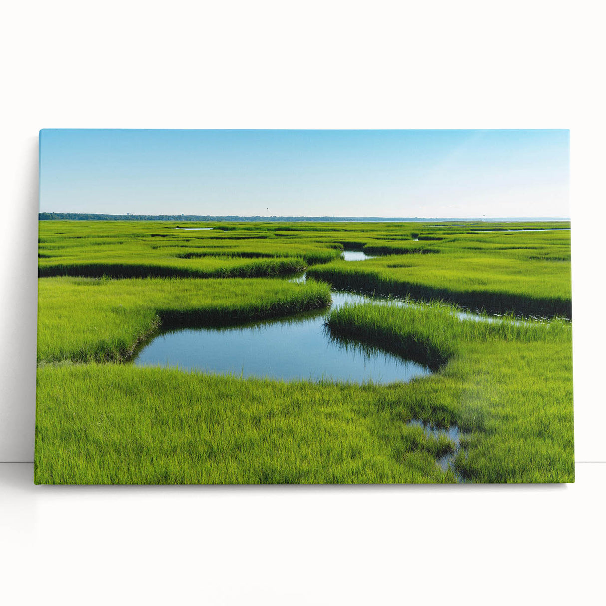Stretched canvas wall art showcasing a serene marsh landscape with vibrant greenery and soft blues, perfect for nature-inspired home decor. Ideal for adding tranquility and style to any space.