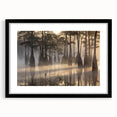 Framed wall art showcasing a serene marsh landscape with vibrant greenery and a tranquil swamp, featuring a black mat and frame, ideal for home decor.