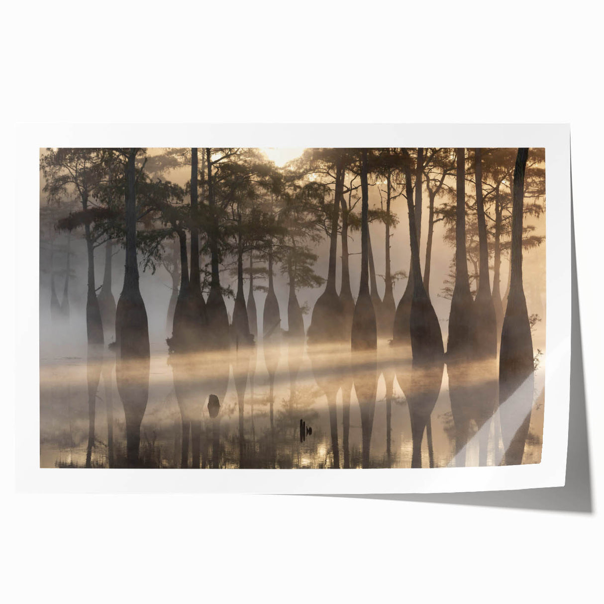 Lush marsh landscape wall art print showcasing vibrant greens and earthy tones, perfect for nature-inspired decor, rolled for easy framing and display.