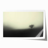 Mist-covered landscape wall art print showcasing serene foggy hills and trees, perfect for adding tranquility and nature to home decor. Rolled for easy framing.
