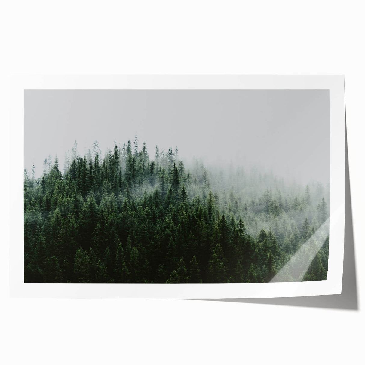 Rolled print showcasing a serene landscape design with mist and fog, featuring soft hues of blue and gray, ideal for enhancing home decor and creating a tranquil atmosphere.