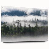 Acrylic glass wall art showcasing a serene landscape design with mist and fog, featuring a side view display with stylish pins, perfect for modern decor.