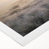 Serene landscape wall art featuring a misty forest scene with soft gray and green hues, perfect for adding a calming touch to any room decor.