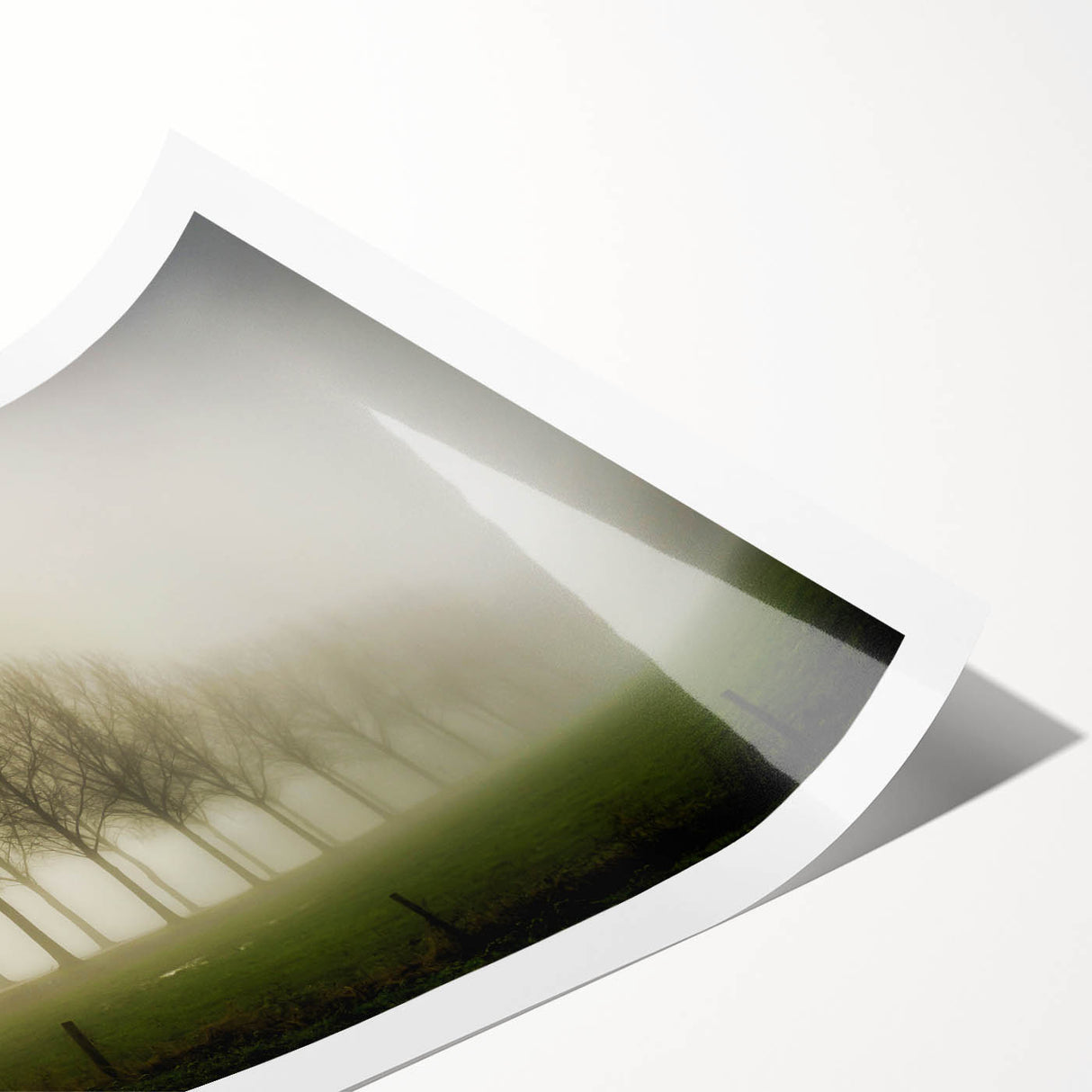 Serene landscape wall art print featuring a misty forest scene with soft gray and green tones, rolled for easy framing and shipping, ideal for home decor.