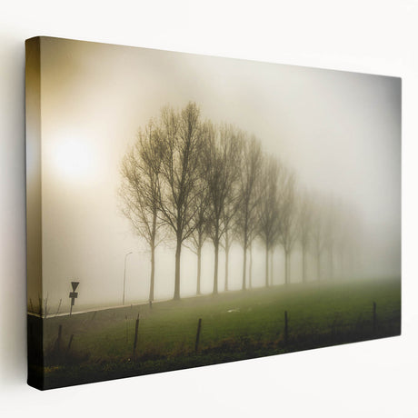Stretched canvas wall art showcasing a serene misty landscape with soft fog enveloping trees, perfect for adding a calming atmosphere to home decor.