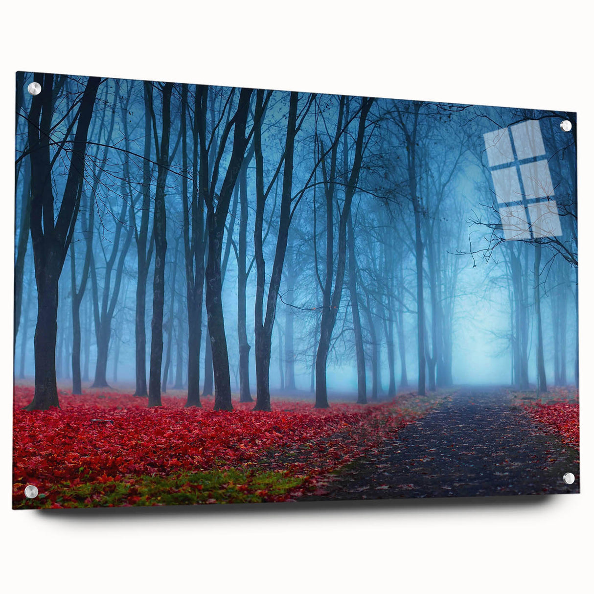 Acrylic wall art collection showcasing misty landscapes with soft fog, featuring a side view with pins for easy hanging, perfect for modern decor.