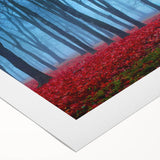 Rolled canvas wall art showcasing a serene misty landscape with soft fog enveloping trees, ideal for enhancing home decor. Perfect for nature lovers.