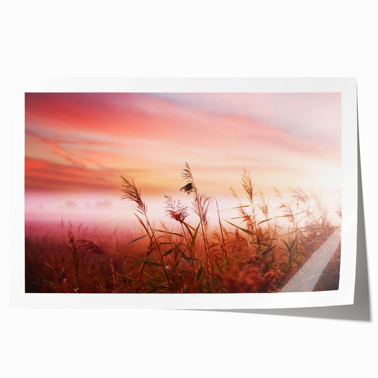 Serene landscape wall art print featuring misty mountains and fog, perfect for home decor. The rolled canvas adds a touch of tranquility to any space.