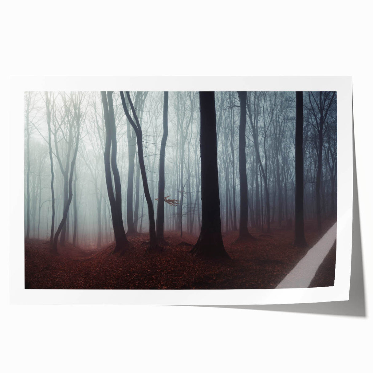 Rolled print of a misty landscape featuring soft hues of gray and blue, elegantly designed for wall decor, showcasing serene natural beauty and tranquility.
