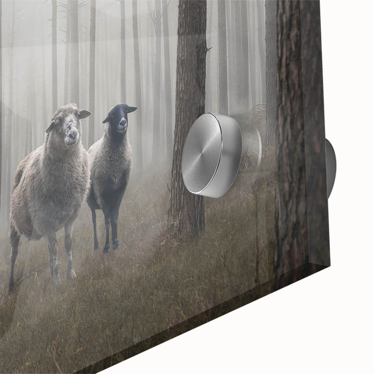 Close-up of a stunning acrylic glass wall art piece showcasing a serene landscape enveloped in mist and fog, perfect for adding a calming aesthetic to any space.