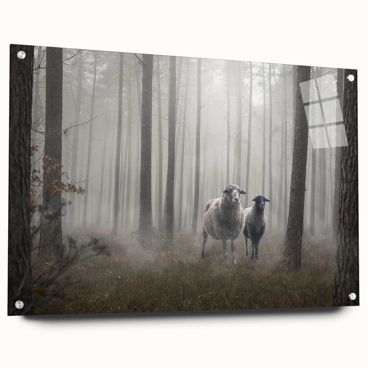 Acrylic wall art collection showcasing a misty landscape design, featuring a side view with pins for easy hanging. The artwork captures serene foggy scenery in soft hues, ideal for home decor.