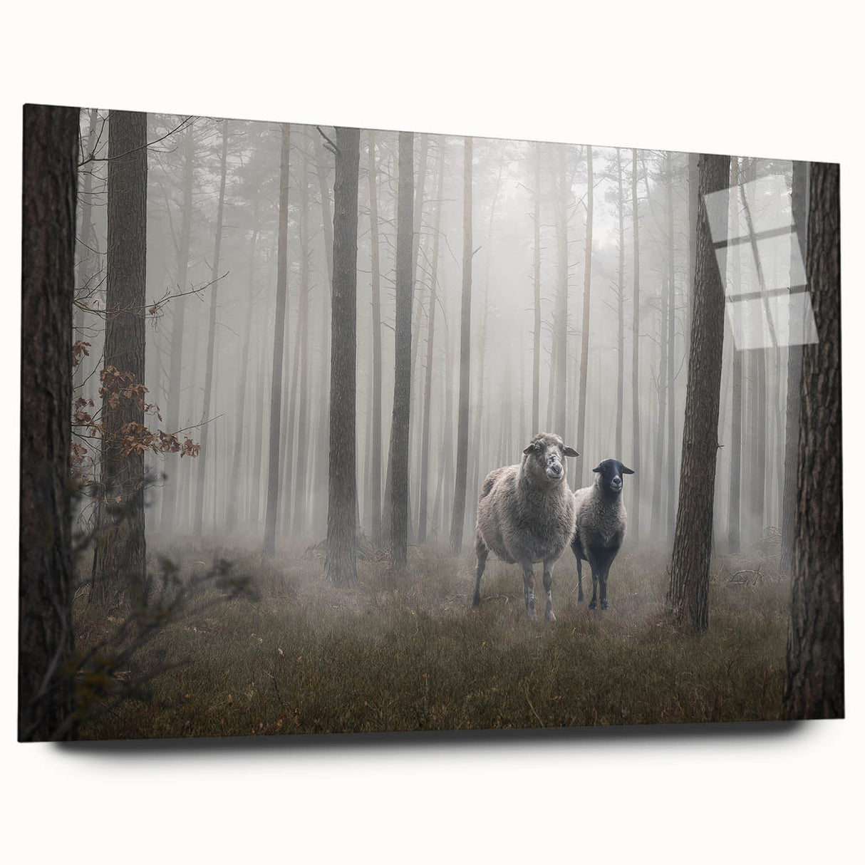 Acrylic glass wall art featuring a serene landscape design with mist and fog, showcasing soft colors and intricate details, ideal for enhancing home decor.