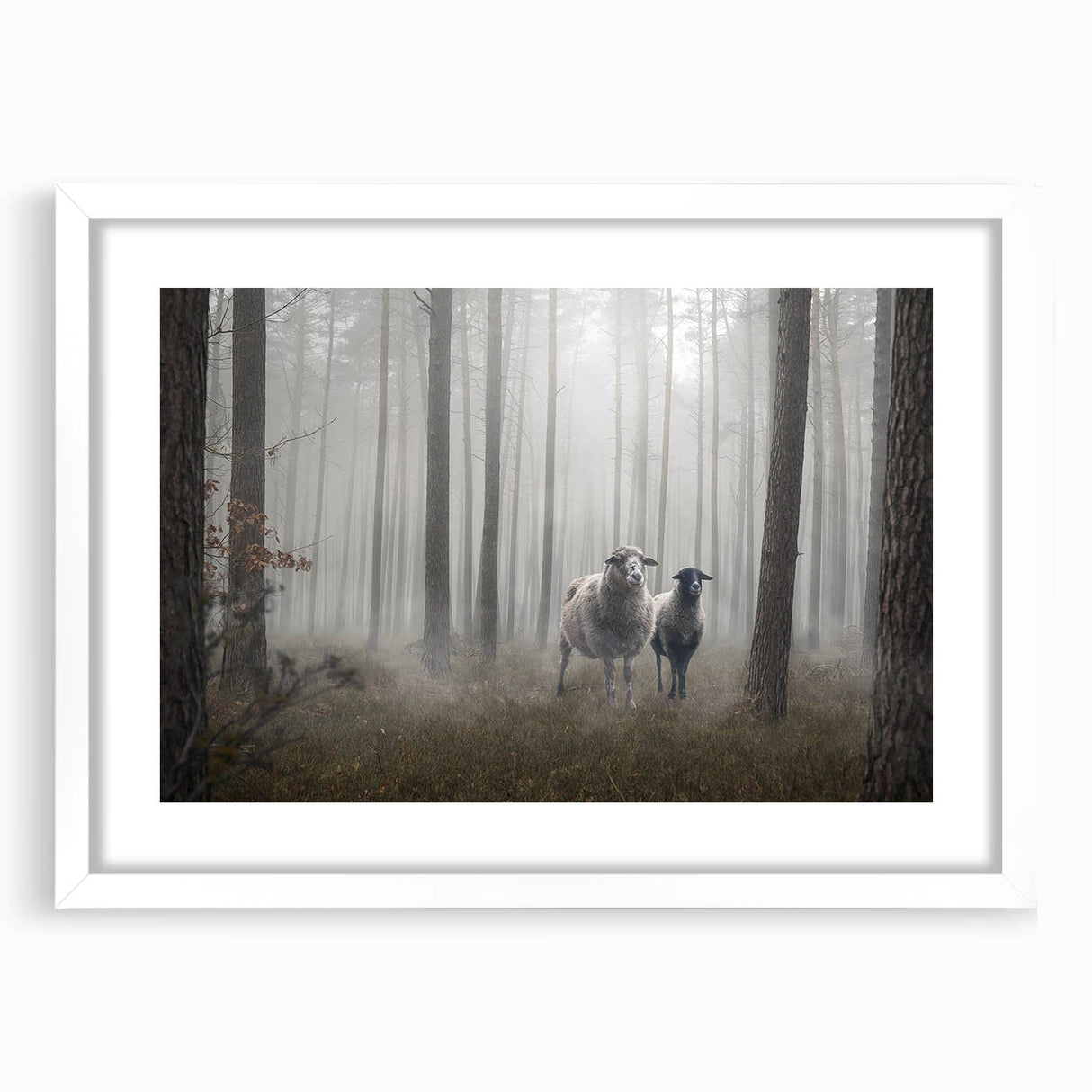 Framed wall art featuring a serene landscape design with mist and fog, presented in a sleek white frame with matting, perfect for enhancing home decor.
