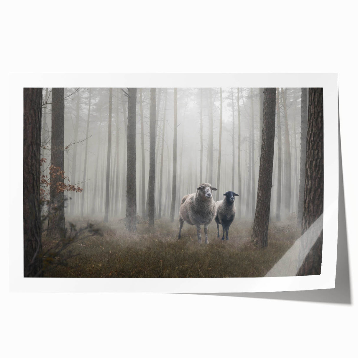 Rolling fog envelops a serene landscape in this misty wall art print, showcasing muted colors and ethereal details, suitable for calming home decor.