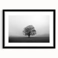 Framed wall art collection showcasing a serene misty landscape with fog, featuring a sleek black frame and mat, perfect for enhancing modern home decor.