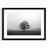Framed wall art collection showcasing a serene misty landscape with fog, featuring a sleek black frame and mat, perfect for enhancing modern home decor.
