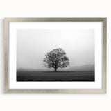 Framed wall art collection showcasing a serene landscape with mist and fog, featuring a silver mat and sleek design, perfect for modern home decor.