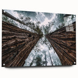 Acrylic wall art featuring a serene landscape design with mist and fog, elegantly showcased in a side view, secured with decorative pins for display.