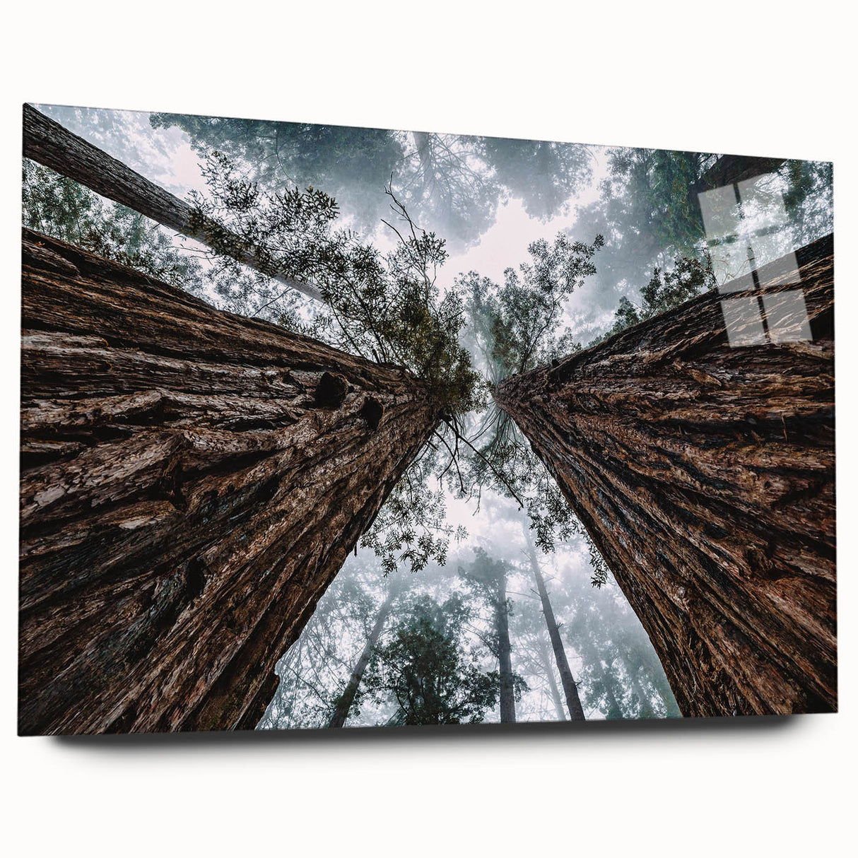Acrylic glass wall art showcasing a misty landscape design, featuring soft gray and blue colors, elegantly displayed in a side view without pins, perfect for modern decor.