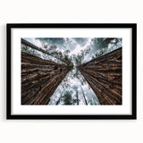 Framed black wall art featuring a misty fog landscape design, ideal for home decor, showcasing serene nature tones and a modern aesthetic. Perfect for enhancing living spaces.