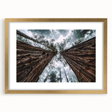 Framed wall art featuring a serene misty landscape design with a gold mat, perfect for enhancing home decor. Ideal for nature-themed interiors, showcasing tranquility and elegance.